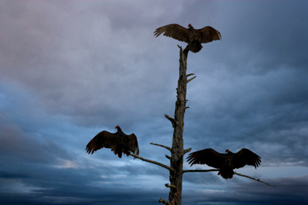 Six fascinating death rituals from around the globe