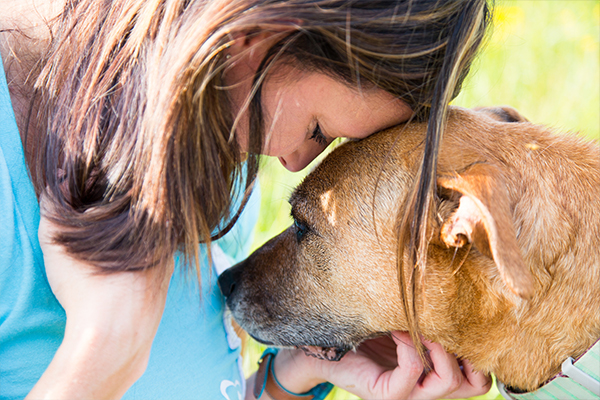 how to help a dog overcome grief