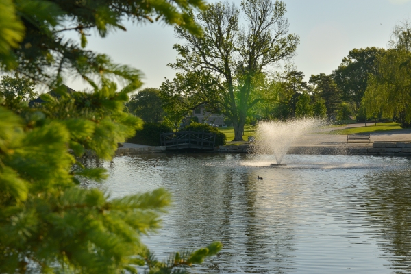 cemetery-pond