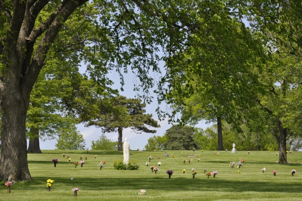 cemetery-trees