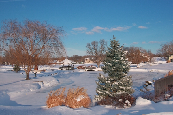 memorial-park-cemetery-pond-in-winter