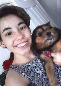 holloway pet cremation